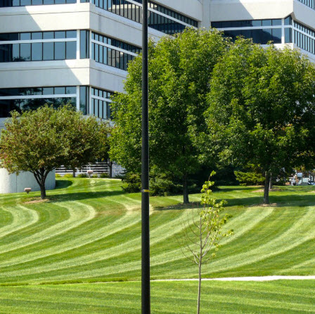 Commercial in Jasper GA Pickens