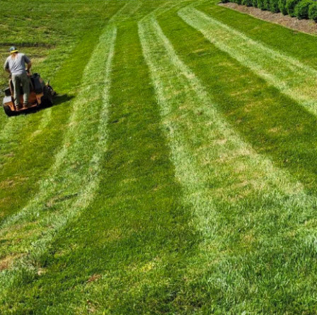 Homeowners HOA in Jasper GA