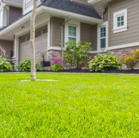 Residential Lawn Service in Jasper GA Pickens